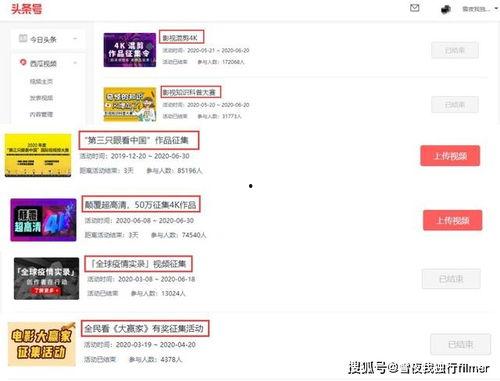 头条为什么要原创视频呢,内容为王，打造高质量视听盛宴