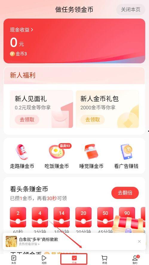 头条做视频的人叫什么,头条视频达人背后的神秘名字