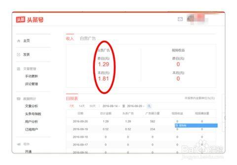哪里查头条收益,从数据源到盈利策略深度解析