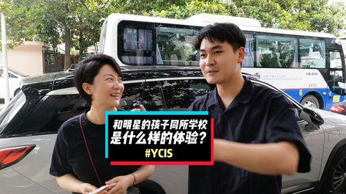 明星所什么,揭秘明星背后的故事与成就