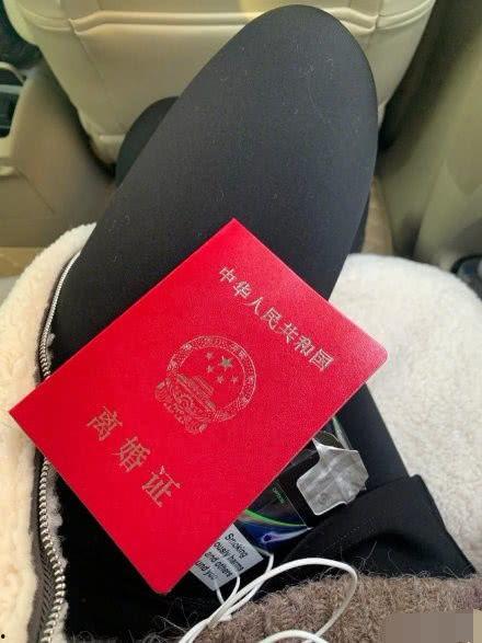 网红元宝离婚,揭秘背后真相与情感纠葛