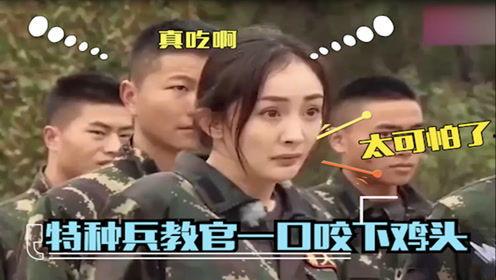 盘点明星吓到起飞,明星们被吓到起飞的惊魂时刻