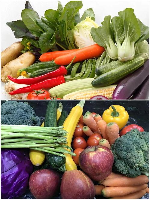 深圳今日头条蔬菜,新鲜蔬菜直供，尽享健康生活新篇章