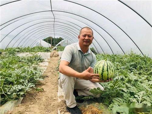 吃麒麟瓜什么梗