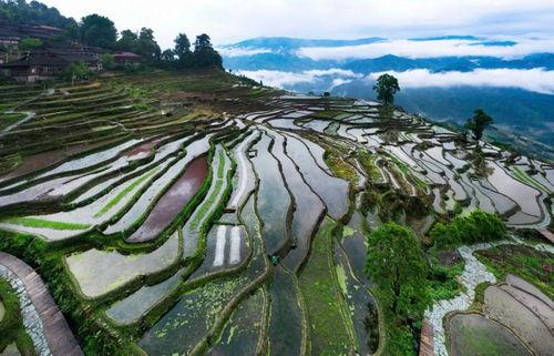 田坪网红梯田瀑布在哪里,自然奇观与人文景观的完美融合