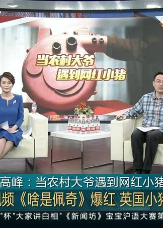 上海老头网红叫什么来着,揭秘网络红人的魅力与影响力