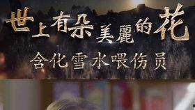 护士炸裂吃瓜,揭秘背后真相与网络暴力