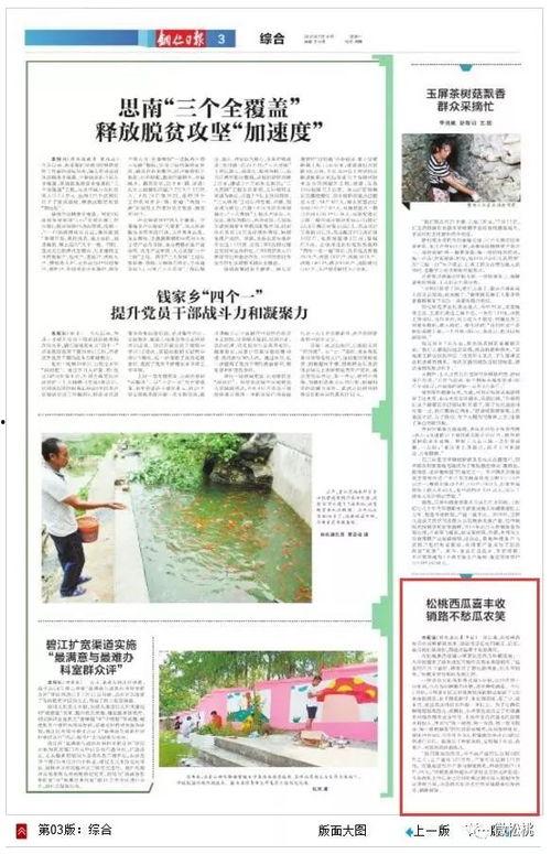 工会吃瓜活动简报标题