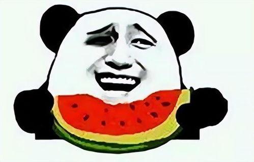 带你吃瓜之奇葩标志,带你吃瓜之奇葩标志背后的故事