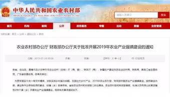 信阳金乡头条新闻,聚焦乡村振兴新篇章，金乡发展成果喜人