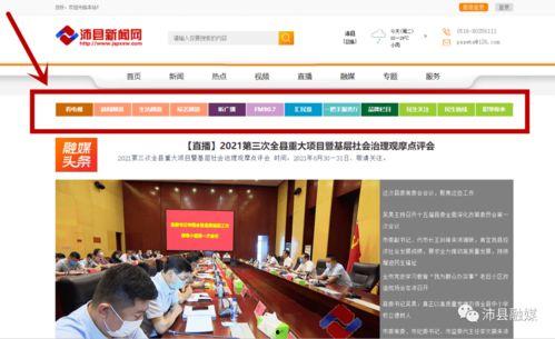 南宁沛县最近新闻头条,最新发展动态聚焦