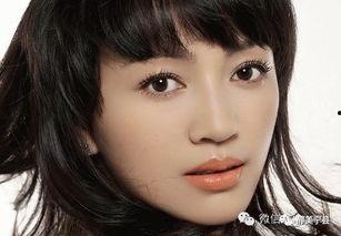 甘肃有哪些明星演员,甘肃明星演员风采掠影