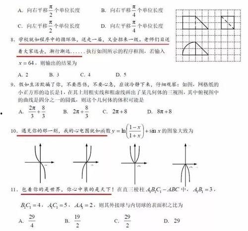 初中数学老师网红,揭秘初中数学老师的网红魅力