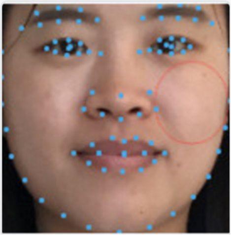 中庭长下庭短的女明星,揭秘中庭长下庭短的女明星风采