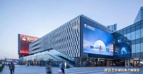 浙江舟山浦东新闻头条,聚焦最新动态，共话发展新篇章