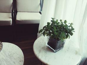 网红种草馆,揭秘热门产品背后的种草力量