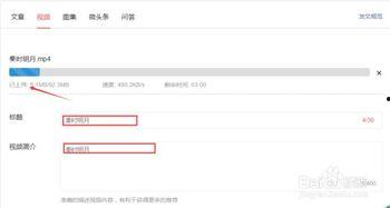 看头条怎么设置上传视频,轻松设置生成视频概述