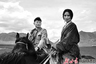 甘南情歌在线观看,探寻藏地风情与民族音乐的交融之旅