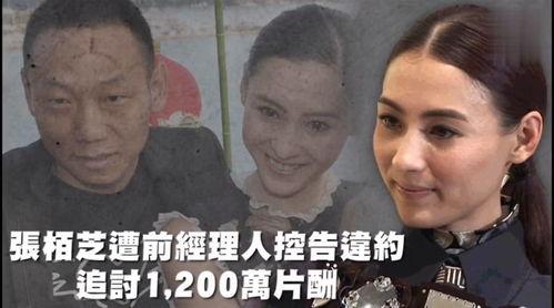 吃瓜娱乐吐槽,揭秘明星背后的故事